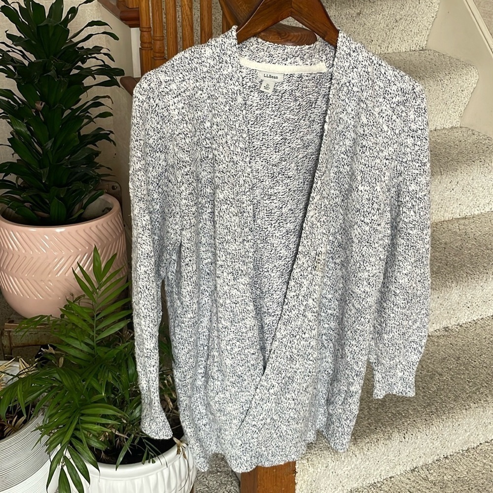 L L Bean Chunky Cozy Ski Lodge Marled Knit Cardigan